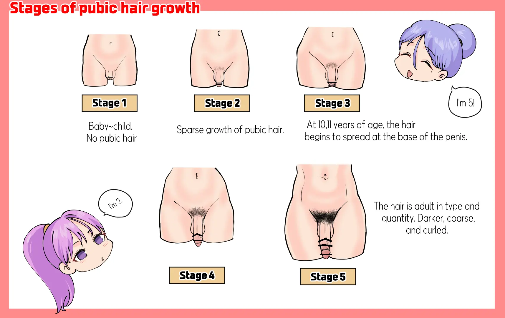 Futanari Sex Education